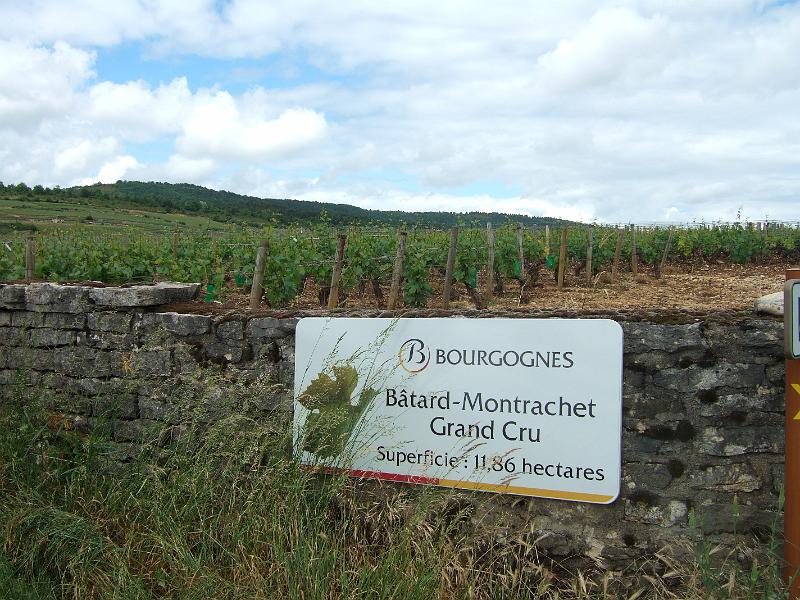 2010-05- (90).JPG